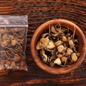 Buy Magic Mushrooms