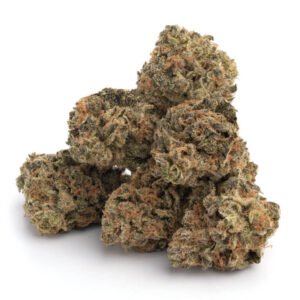 Alien Dawg strain