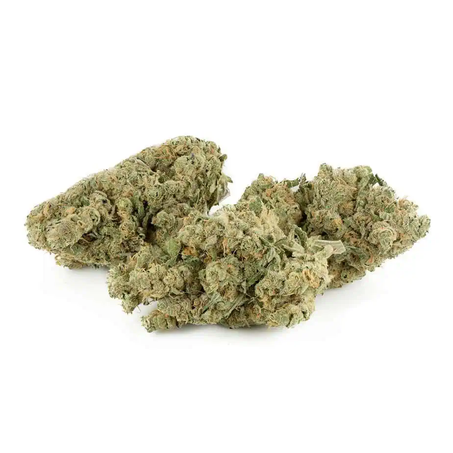 UK Cheese Strain