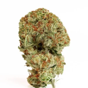 Kush Mintz