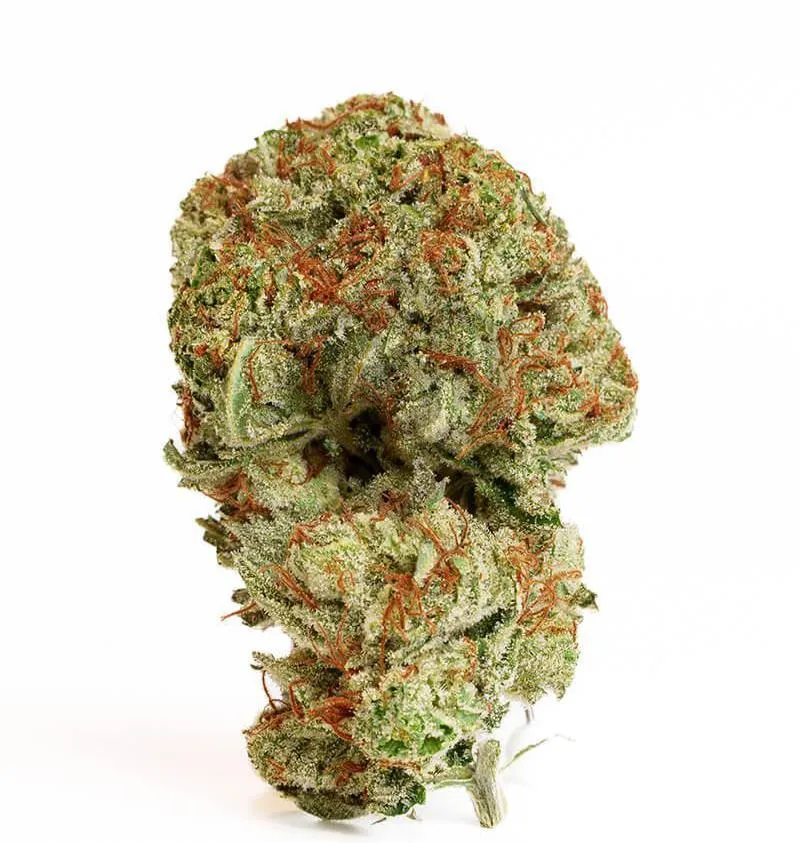 Kush Mintz
