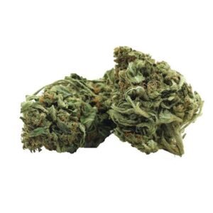 Mango Haze Strain