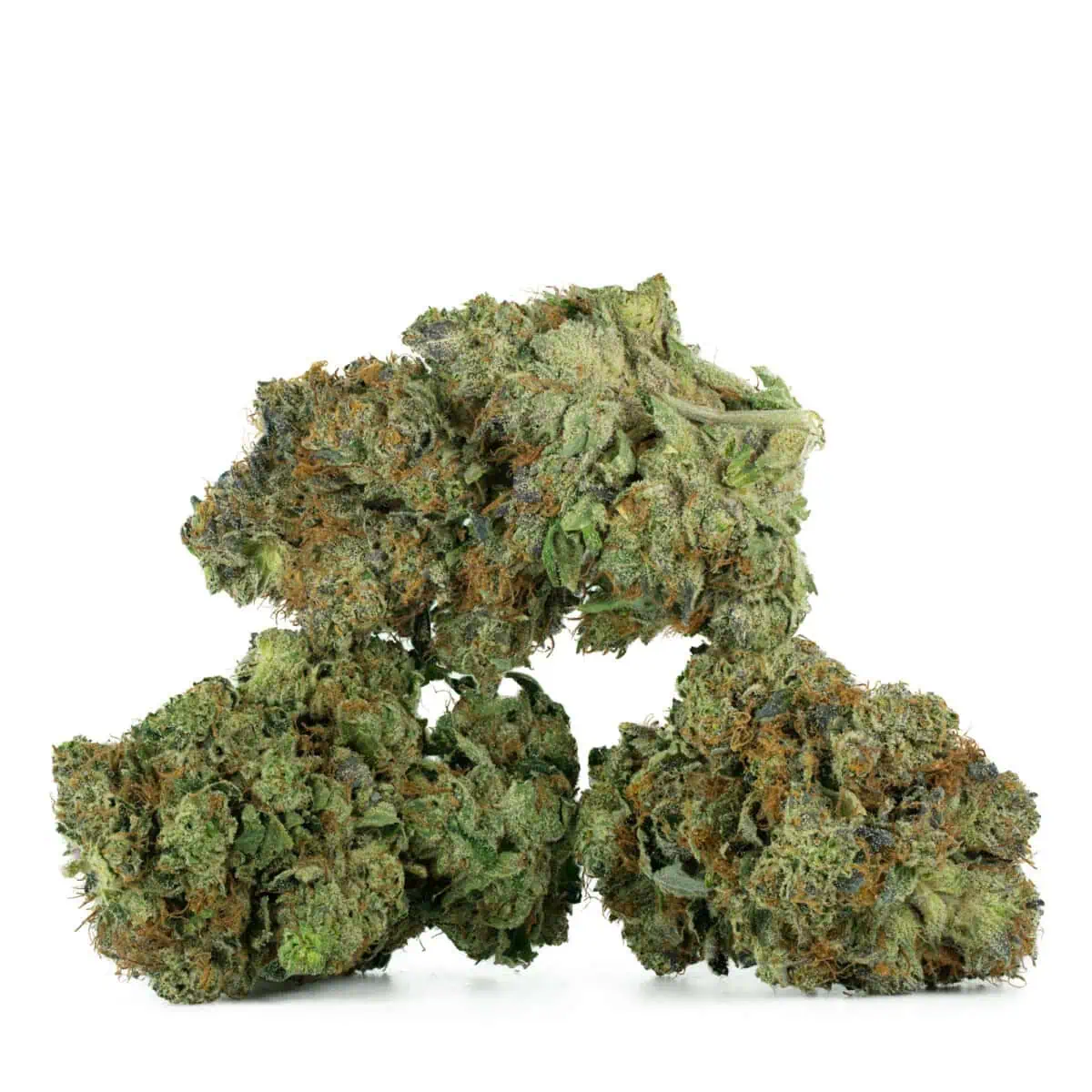 Master Kush Strain