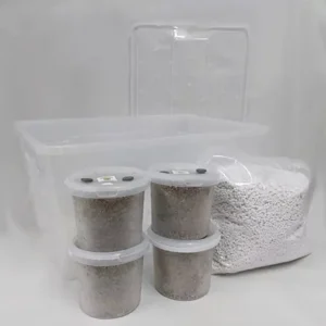 Grow kits Magic Mushrooms