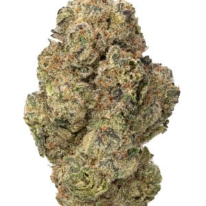 Skunk Strain