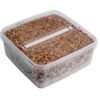 Magic Mushroom Growing Kit