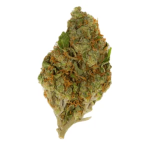 Purple Cookie Dawg Strain