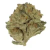 Cookies Dawg Strain