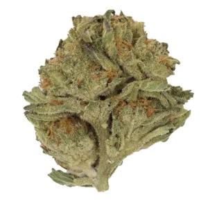 Cookies Dawg Strain