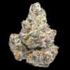 Purple Guava Dawg