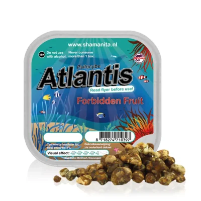 Psilocybe Atlantis