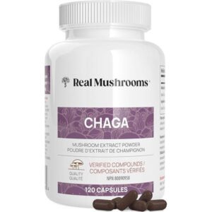 Chaga Extract 120 Capsules UK | Organic Chaga Mushroom Extract