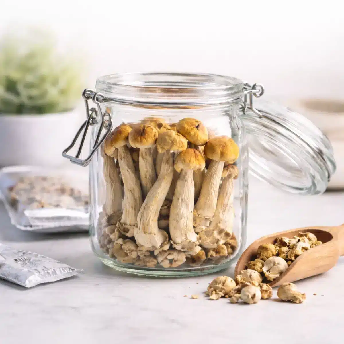 How To Store Mushrooms