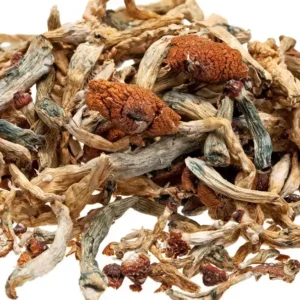 Buy Psilocybin Mushrooms
