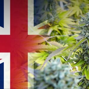 UK Flavours