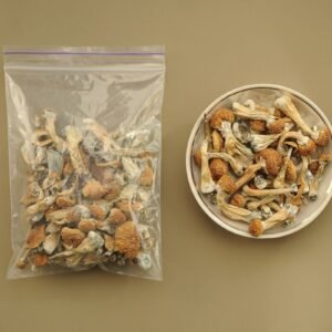 Shroom Edibles